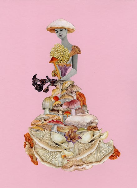 Image of Chanterelle. Limited edition collage print.