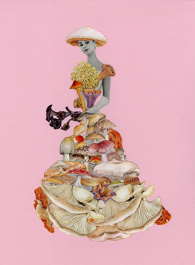 Chanterelle. Limited edition collage print. | VivienneStrauss