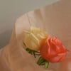 Fresh Roses (6 or 12)