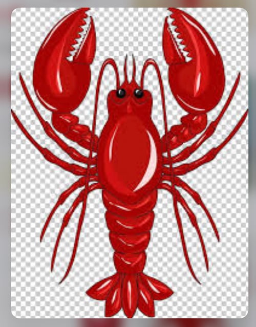 Image of Momma Lobster commission