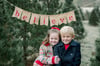 Christmas Tree Farm Mini Session - Collection 1