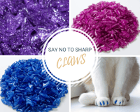 Pawsitively Stylish Claw Protectors
