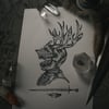 "BIRD KNIGHT"