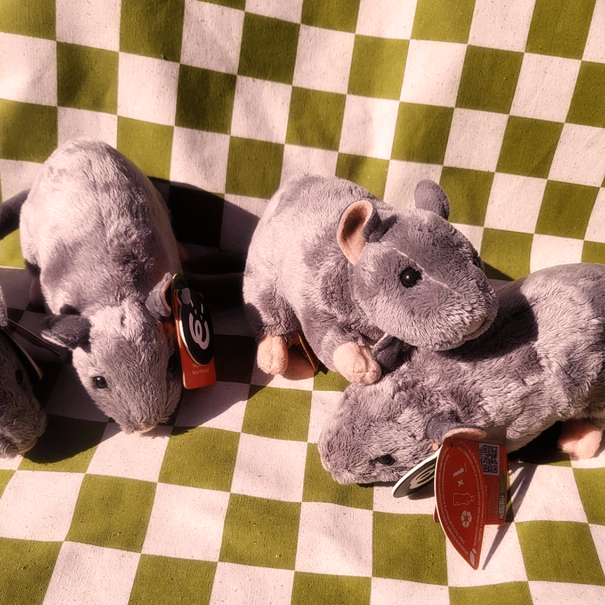 Image of Reece the Rat plushie 🐀