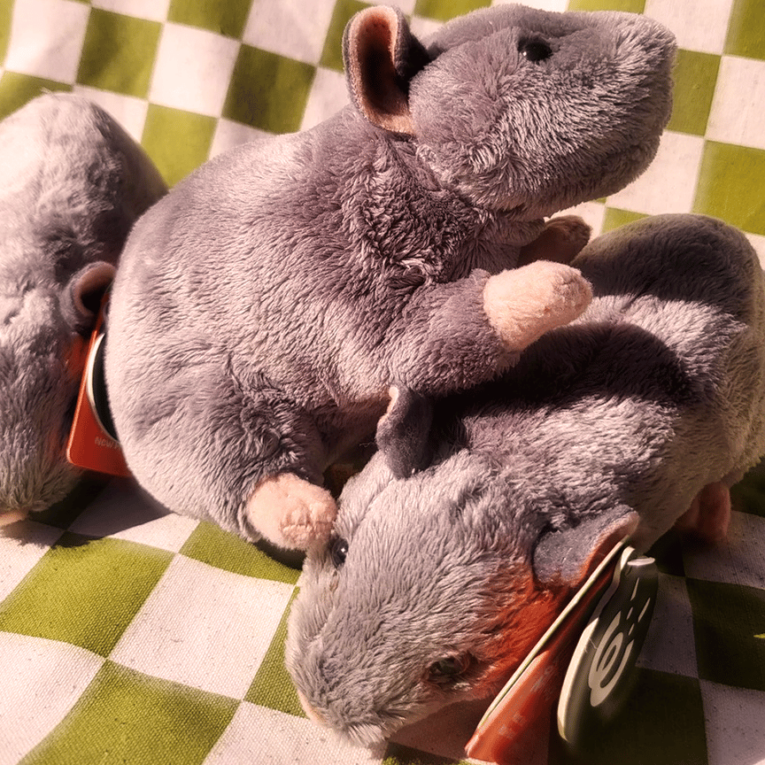 Image of Reece the Rat plushie 🐀