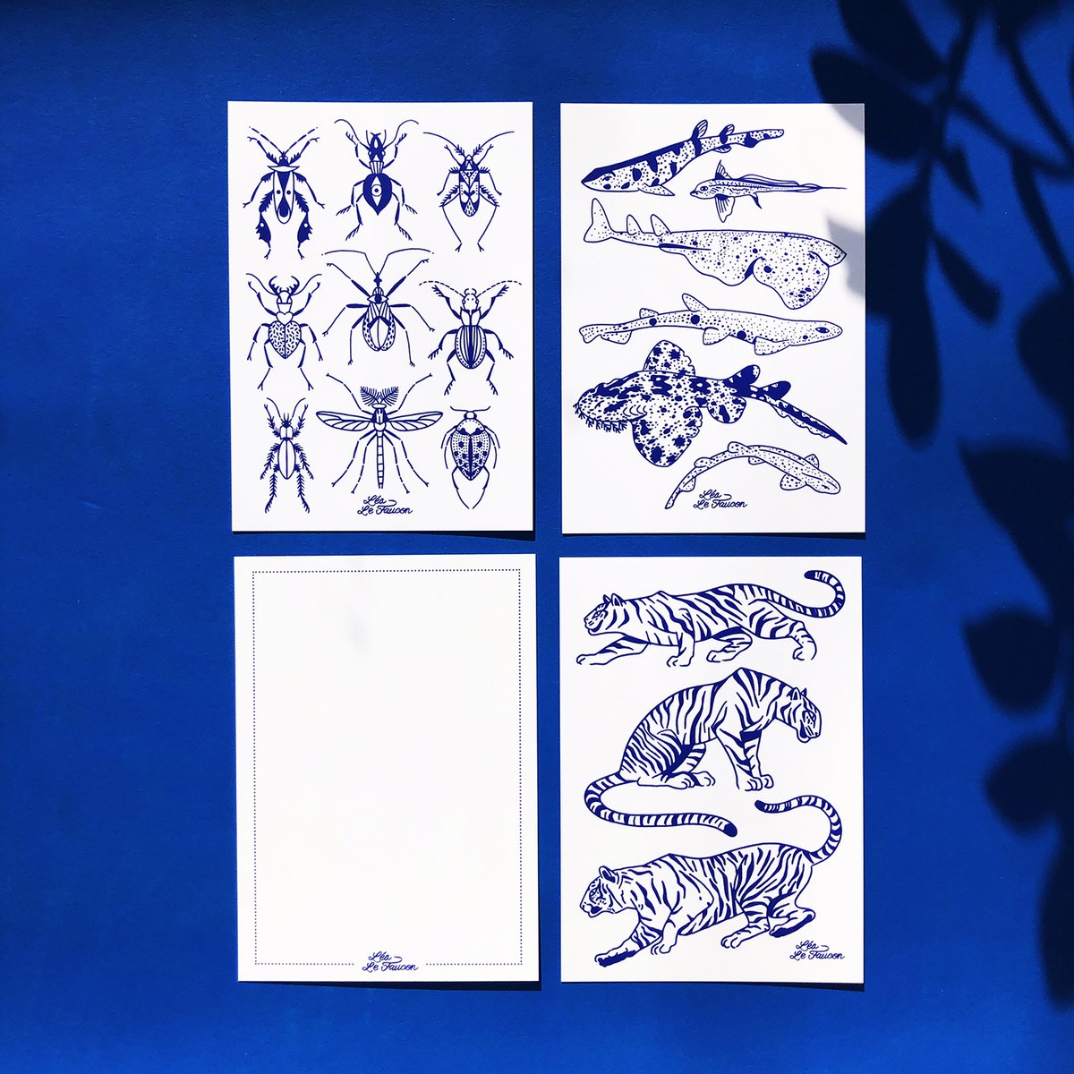 Cartes postales Naturaliste 1