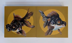 Double Goldfish 1