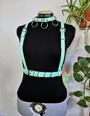 Image of Belt Harness