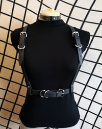 Image 2 of Belt Harness