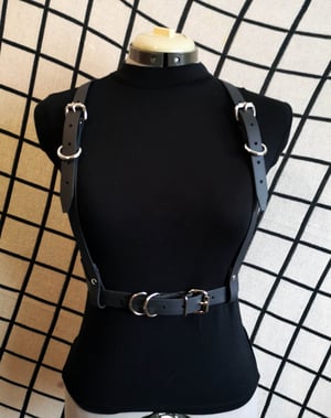 Image of Belt Harness