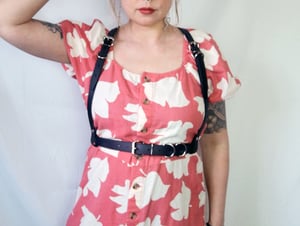 Image of Belt Harness