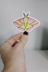 Rosy Maple Moth Sticker