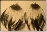 Black Swan Earrings