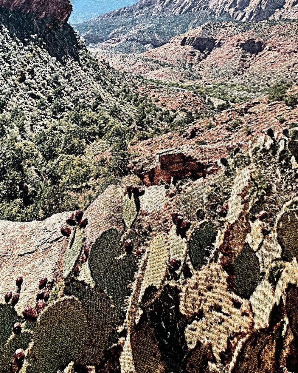 Archive Blanket #11 - Zion National Park