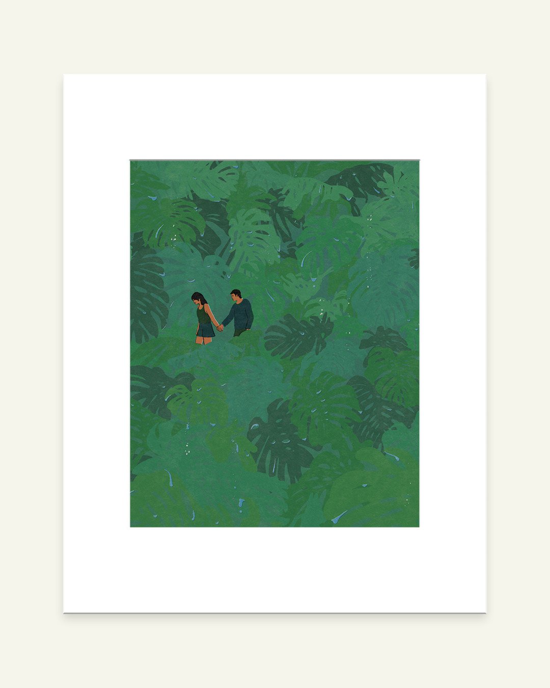 Image of Monstera