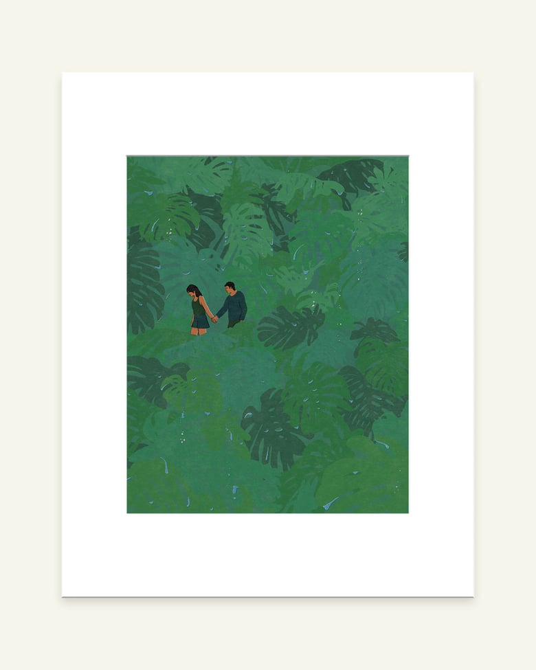 Image of Monstera