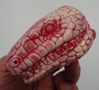 Image 4 of 【HEAD】アオジタトカゲ ( Lizard )