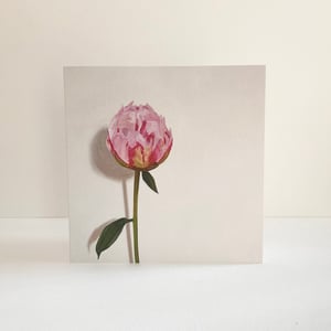 Image of Pack of four cards - Peonies