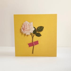 Image of Pack of four cards - Roses