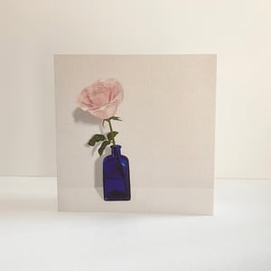 Image of Pack of four cards - Roses