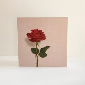 Image of Pack of four cards - Roses
