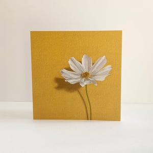 Image of Pack of four cards - Cosmos