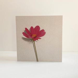 Image of Pack of four cards - Cosmos
