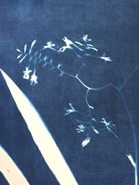 Image 3 of Tenture murale Crocosmia