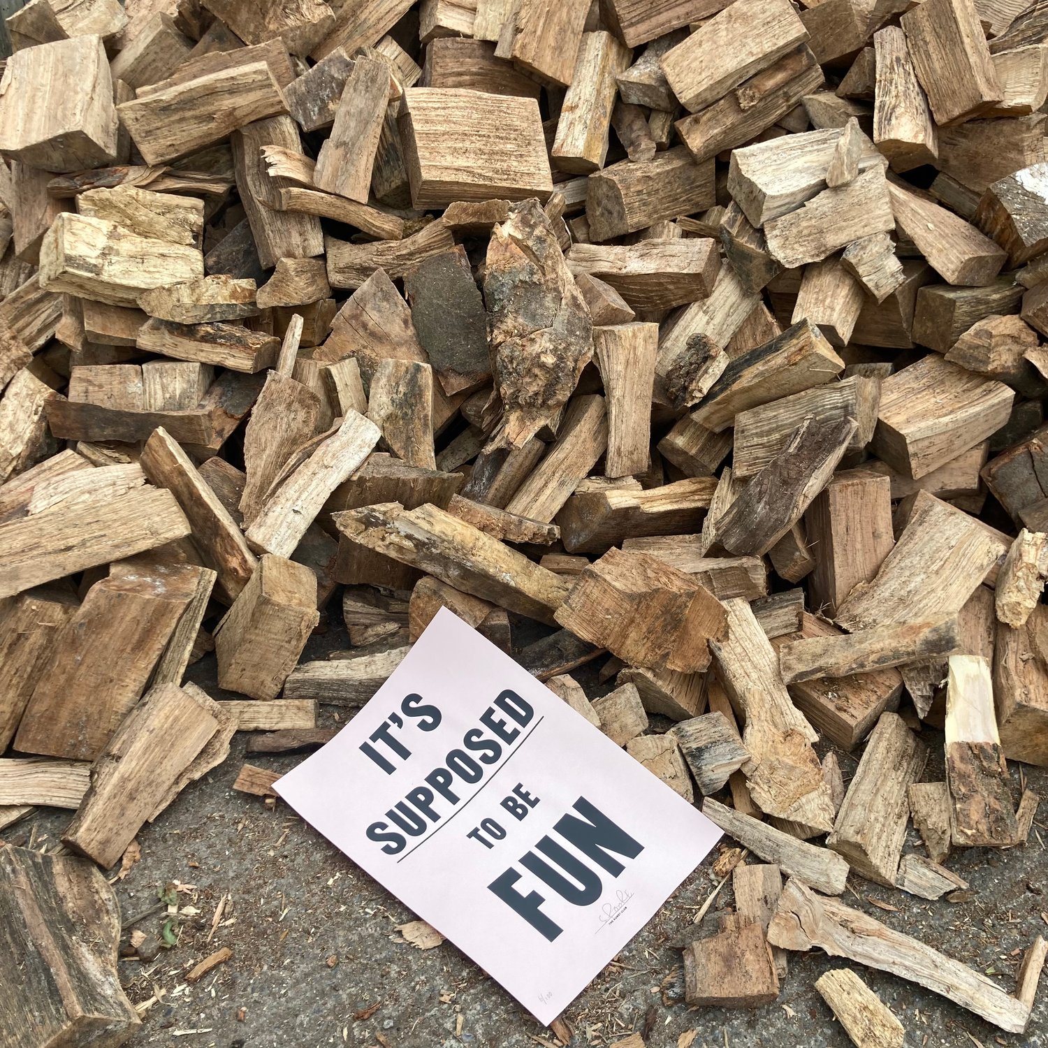 Image of It's Supposed to be Fun - 2