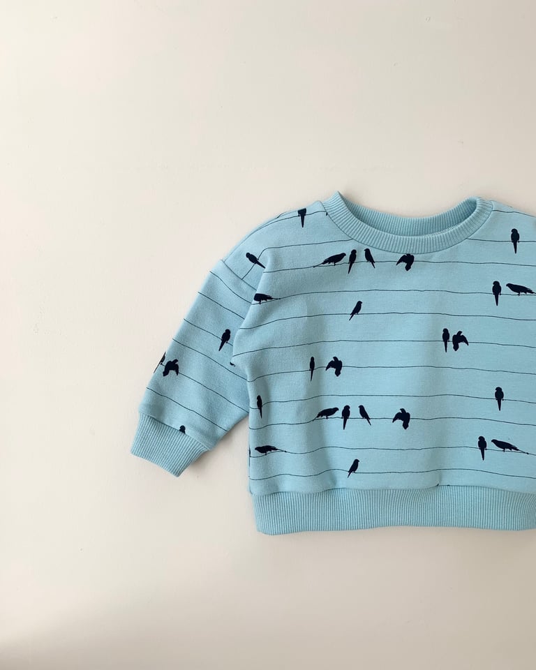 SWEAT CAMILLE oiseaux