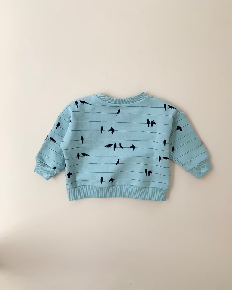 SWEAT CAMILLE oiseaux Image 3