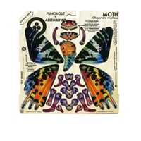 Image 3 of JCR ARTHROPODA : MOTH