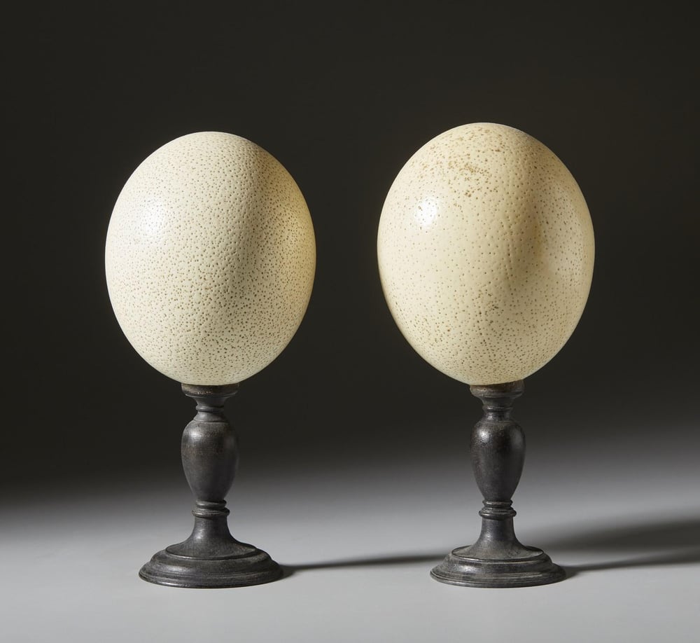 Image of Naturalia Specimens – Pair of preserved Ostrich eggs mounted on ebonized wood candlesticks