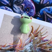 frog planter