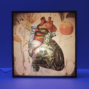 Image of Fruta prohibida