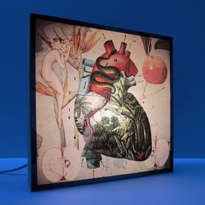 Image of Fruta prohibida