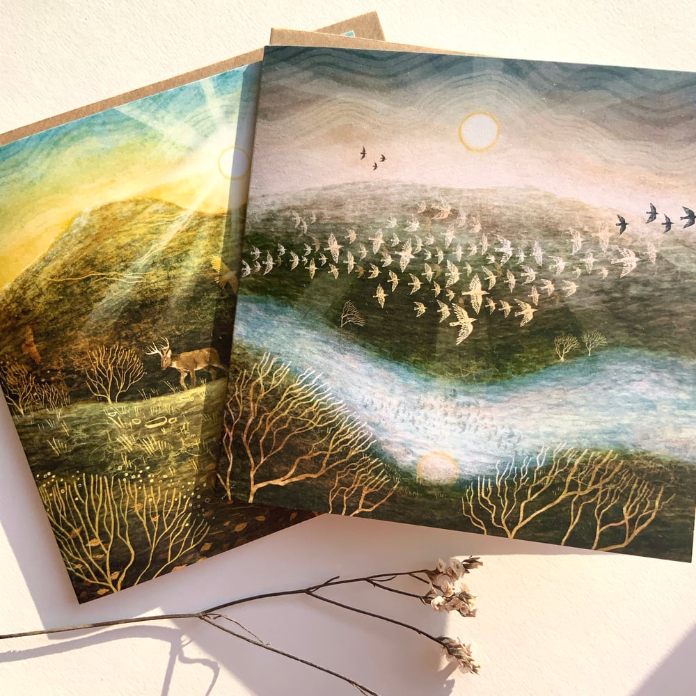 Wildlife Greetings Cards