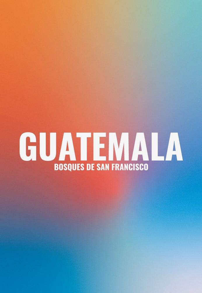 Image of GUATEMALA | BOSQUES DE SAN FRANCISCO | 250g