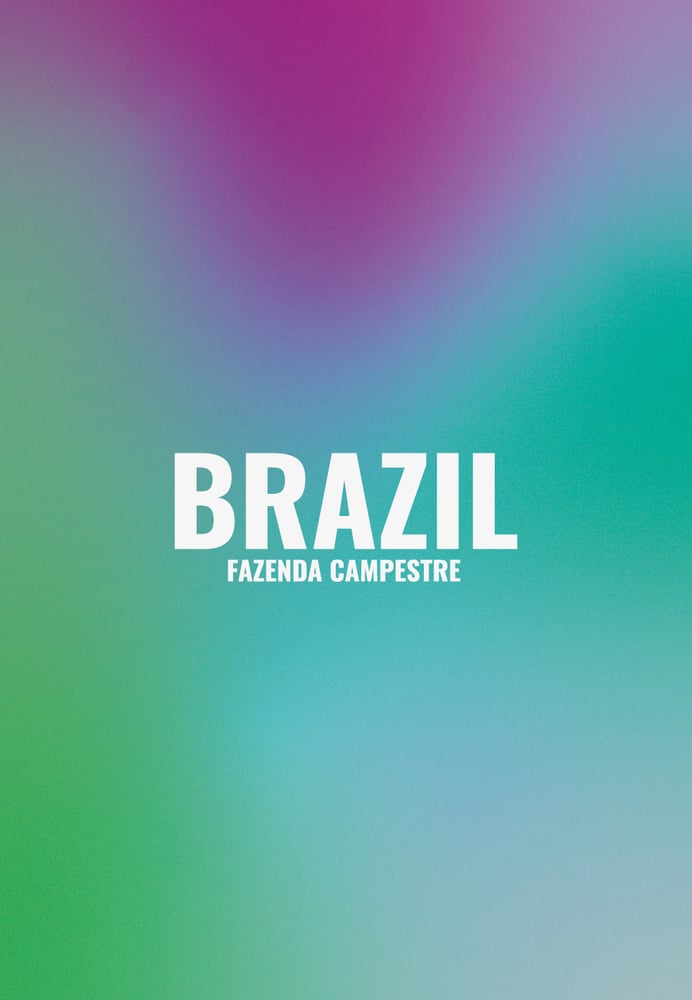 Image of BRAZIL | FAZENDA CAMPESTRE