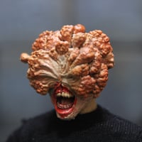 Image 1 of Fungus Zombie