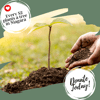 Toonie tree - Plant a tree donation