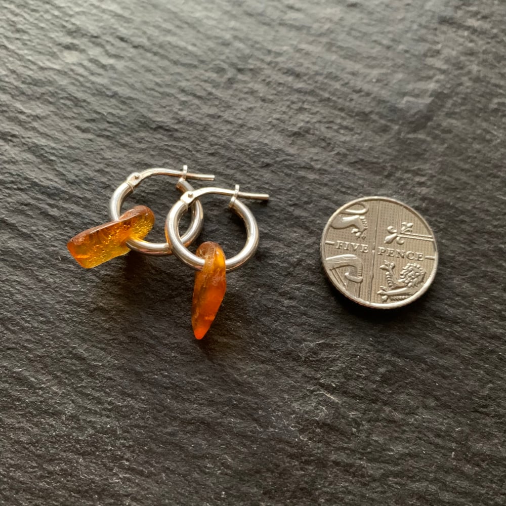 Image of Amber earrings - Minsmere, Suffolk