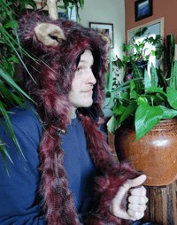 Image 3 of Red Ostrich Bolli Bear