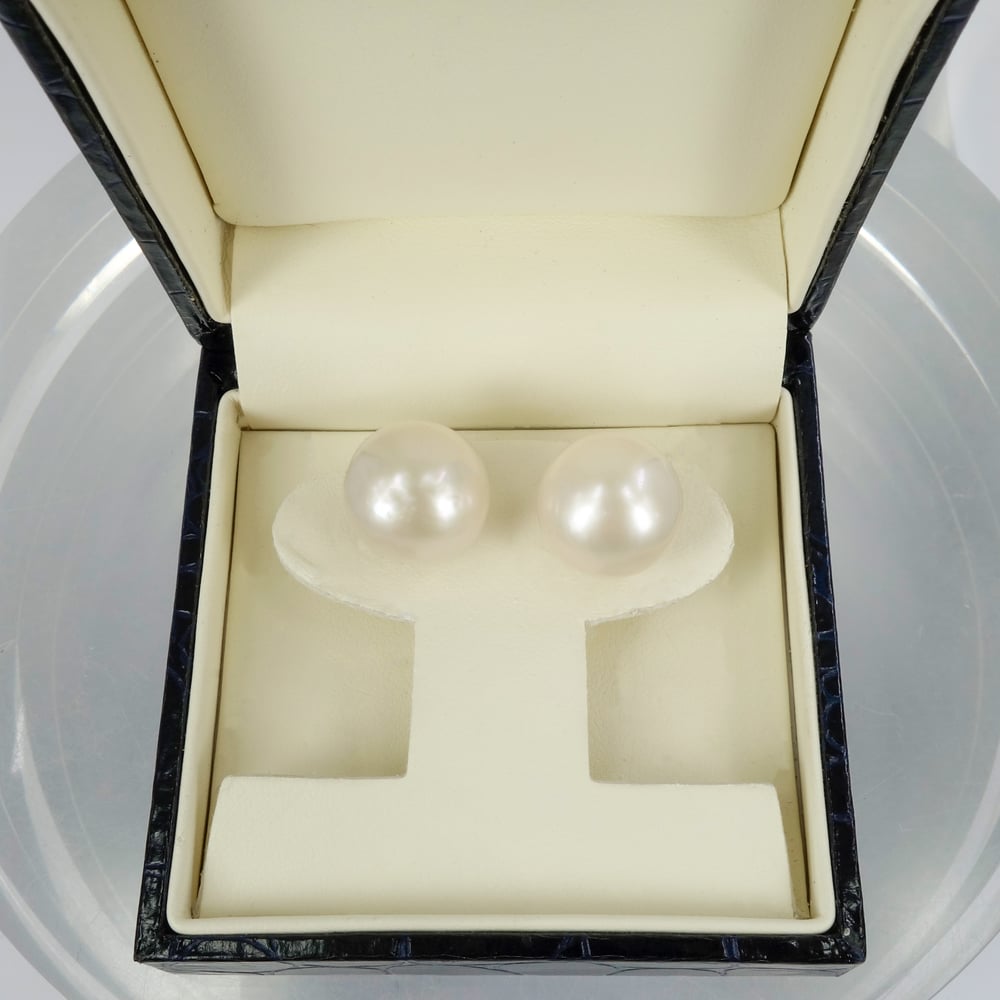 Image of Large 15mm South Sea Pearl stud earrings. CP1126