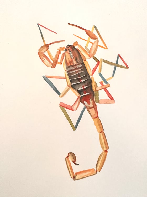 Image of ORIGINAL Scorpion Watercolour