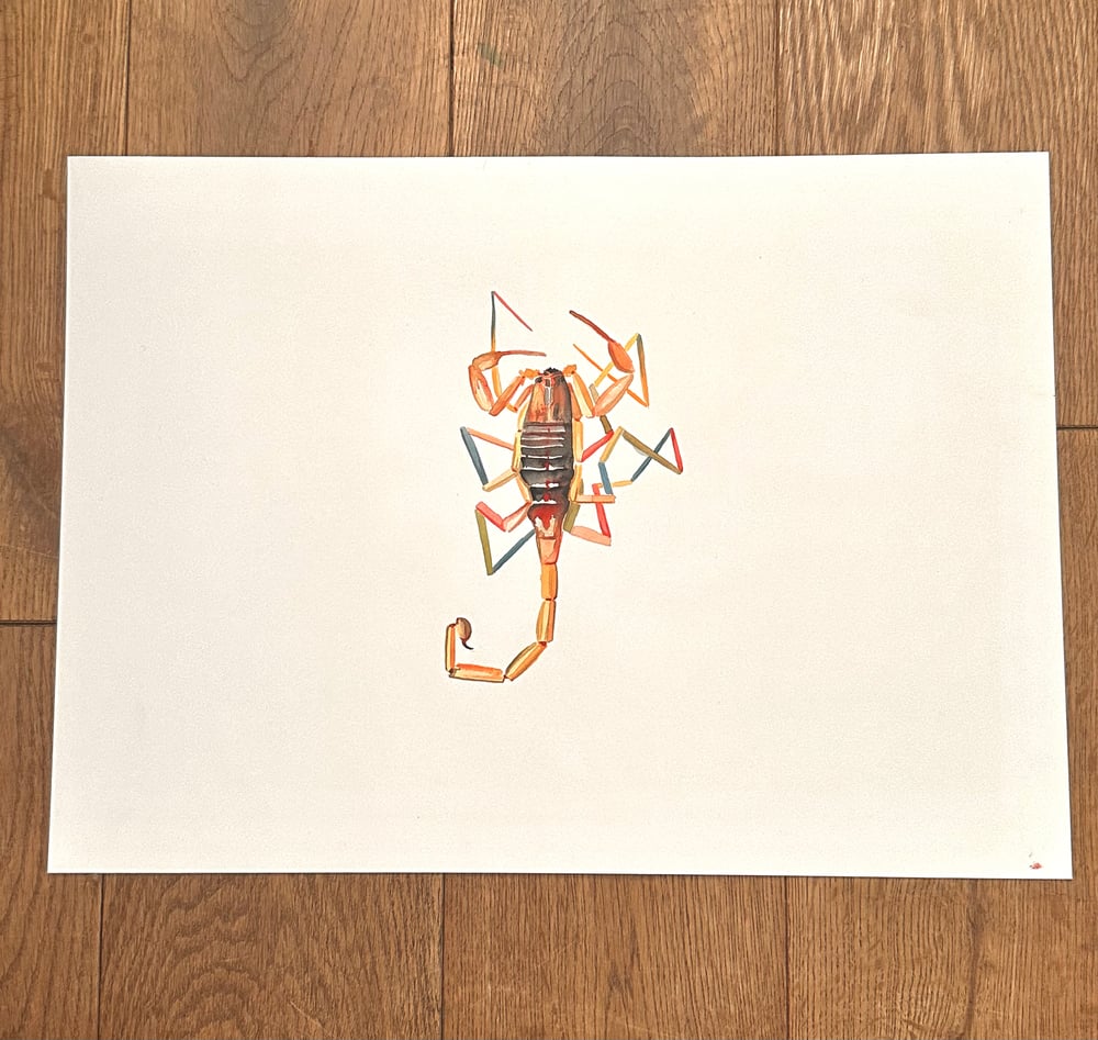 Image of ORIGINAL Scorpion Watercolour