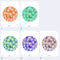 Image 2 of Moss Ball