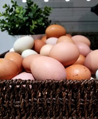 Image 2 of Farm Fresh Eggs | Pasture Raised | No hormones | No Antibiotics