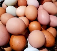 Image 1 of Farm Fresh Eggs | Pasture Raised | No hormones | No Antibiotics