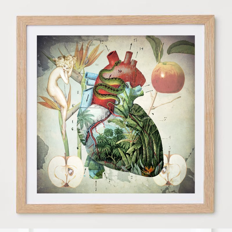 Image of Lámina fruta prohibida 